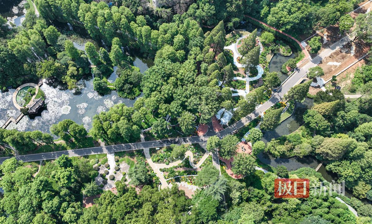 抢庄牛牛怎么玩